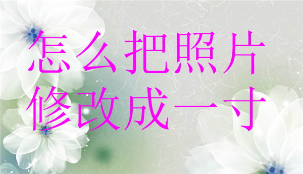 怎么把照片修改为一寸？