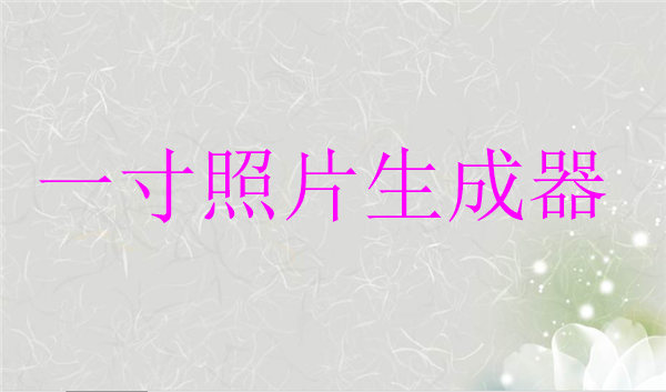 一寸照片生成器