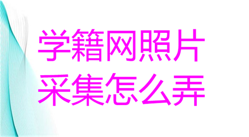 学籍网照片采集怎么弄