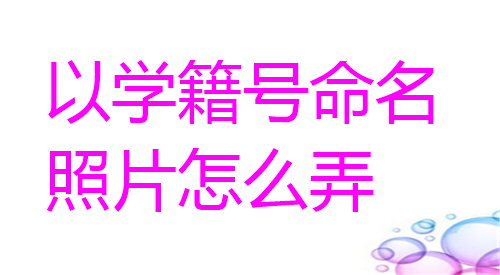 以学籍号命名照片怎么弄
