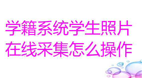 学籍系统学生照片在线采集怎么操作