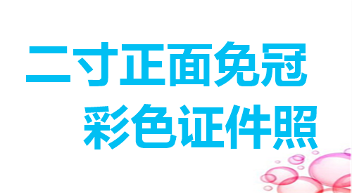 二寸正面免冠彩色证件照