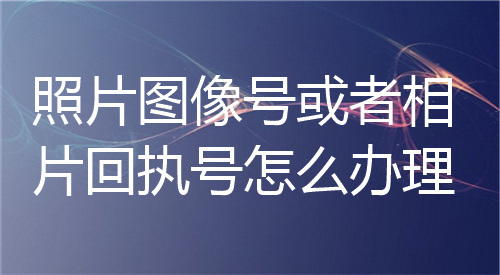 照片图像号或者相片回执号怎么办理