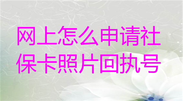 网上怎么申请社保卡照片回执号？