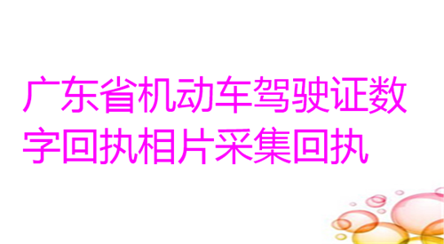 广东省机动车驾驶证数码回执相片采集回执