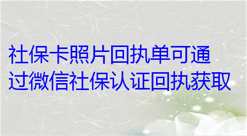 社保卡照片回执单可通过微信认证回执获取