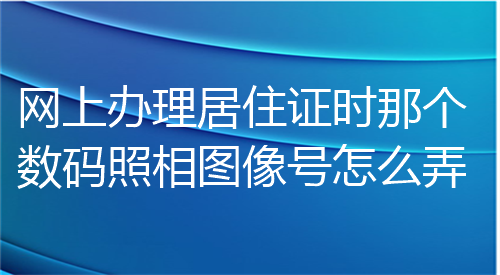 网上办理居住证时那个照相图像号怎么弄