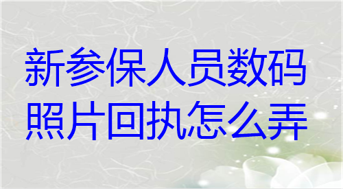 新参保人员数码照片回执怎么弄