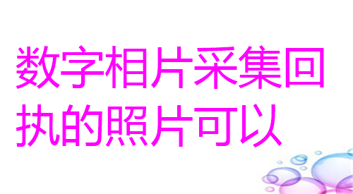 数字相片采集回执的照片办理