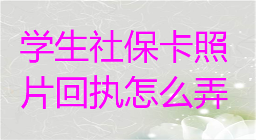 学生社保卡照片回执怎么办理