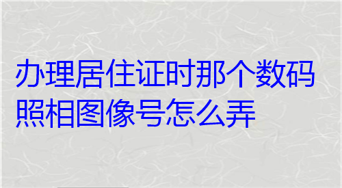 办理居住证时那个数码照相力作号怎么弄