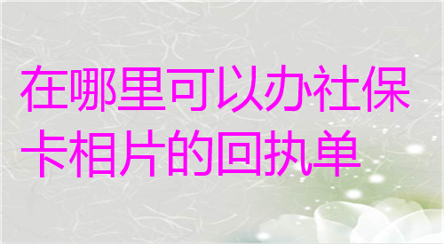 在哪里可以办理社保卡相片的回执单