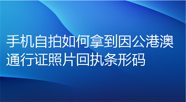 手机自拍如何拿到因公港澳通行证照片回执条形友码