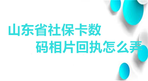 山东省社保卡数码相片回执怎么弄