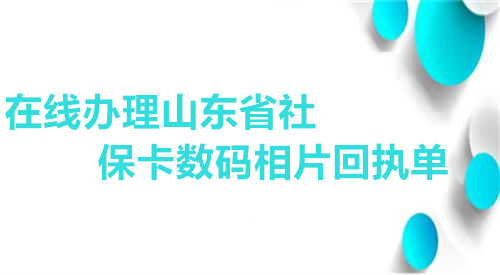 在线办理山东省社保卡数码相片回执单